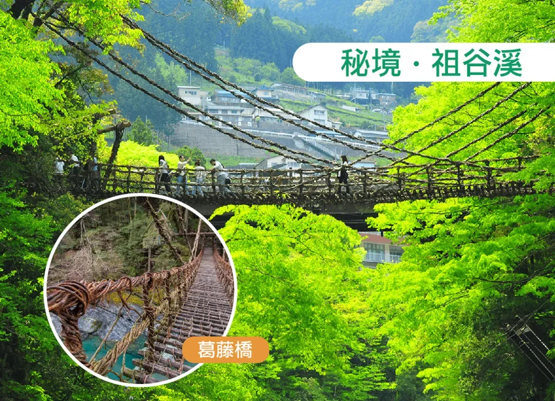 【限時限量】虎漫遊四國小豆島5日三溫泉.仙境大步危遊船.西島園藝區.金刀比羅宮.道後溫泉.烏龍麵體驗.戀人聖地(岡山)-7