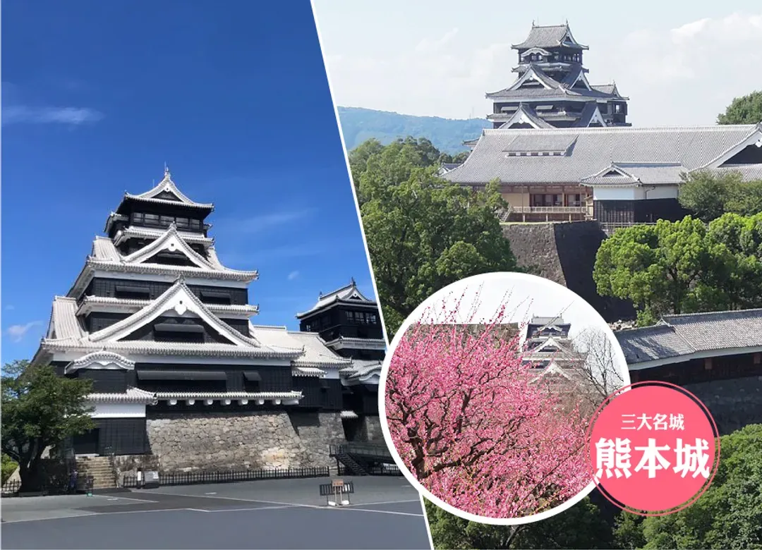 【熱賣】虎夢幻九州雙溫泉5日.久住花卉.野生動物園.海之中道水族館.萌熊電車.柳川遊船.湯布院.佐賀牛(佐賀進大分出)-12