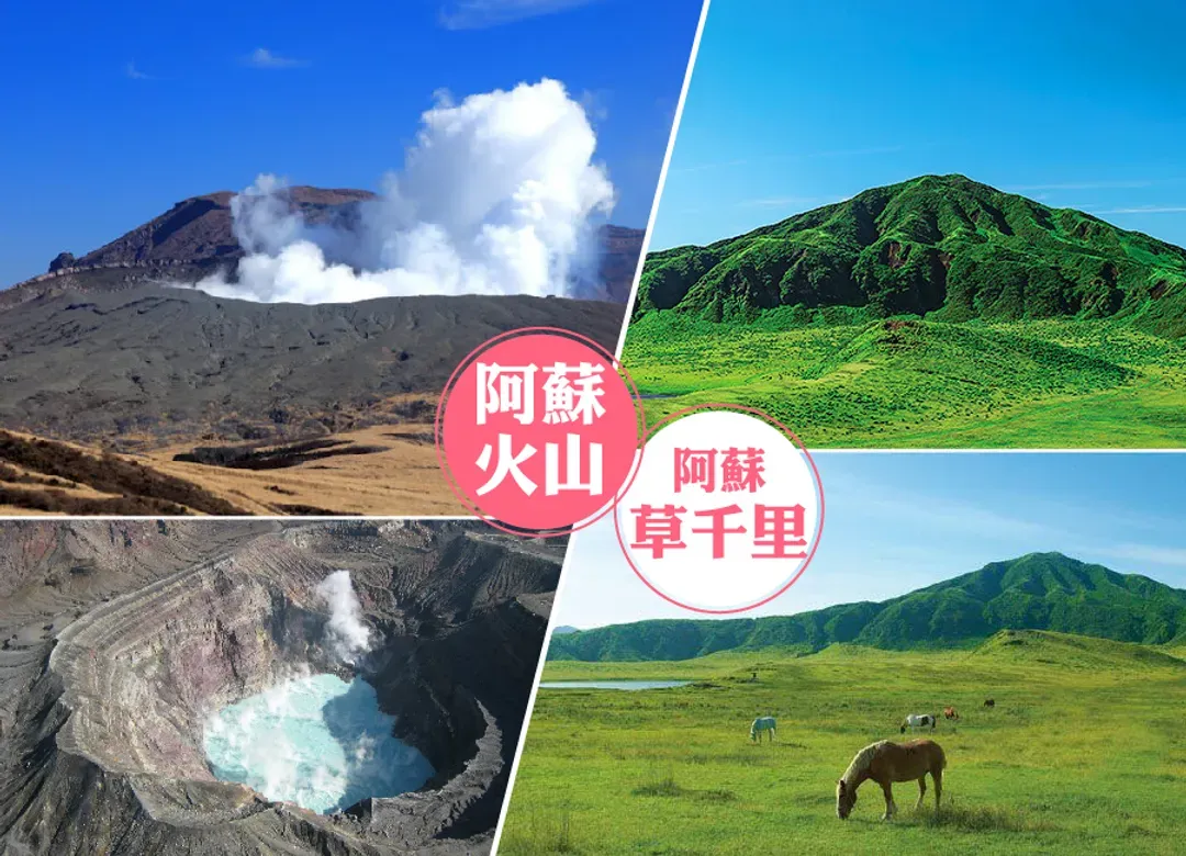 【熱賣】虎夢幻九州雙溫泉5日.久住花卉.野生動物園.海之中道水族館.萌熊電車.柳川遊船.湯布院.佐賀牛(佐賀進大分出)-6