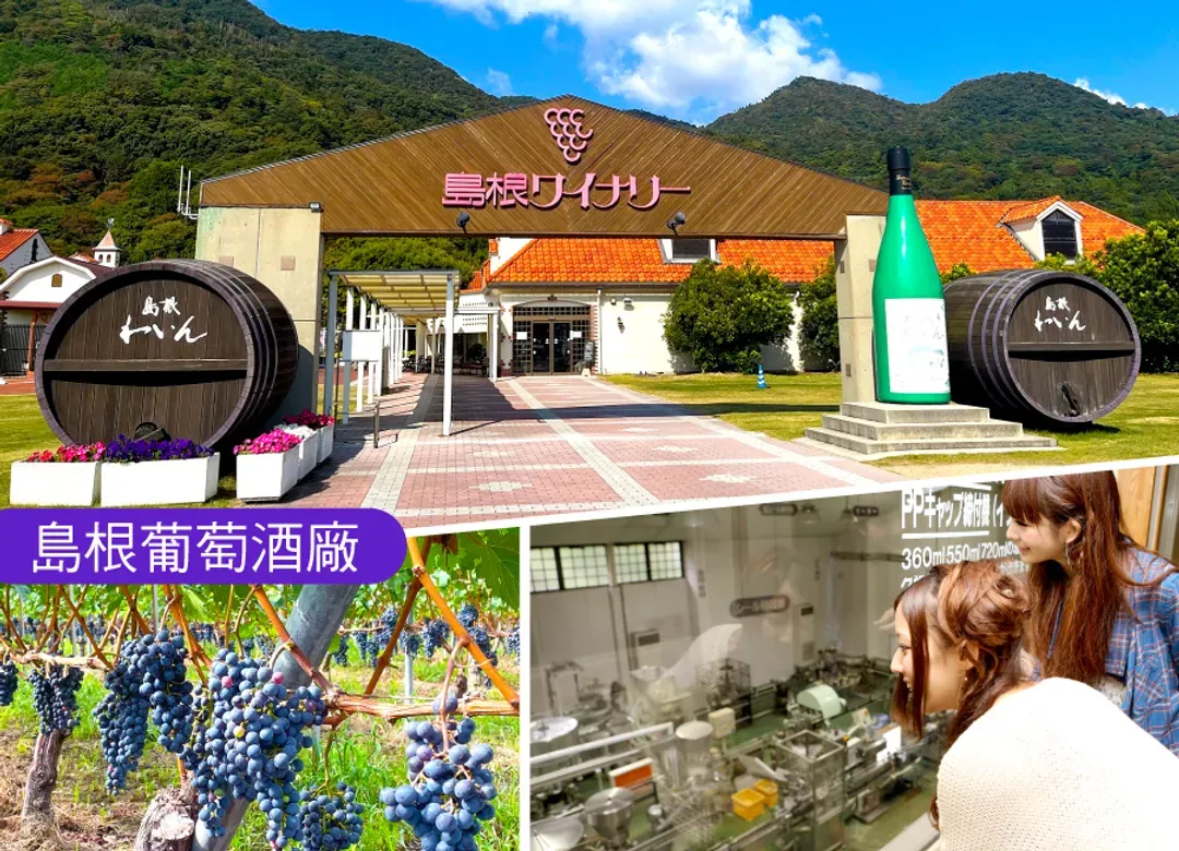 走進神話山陰雙溫泉4日.保住玉造松乃湯.螃蟹和牛.由志園.美保巫女獻舞.出雲大社.足立美術館.鳥取沙丘(不進免稅店)-11