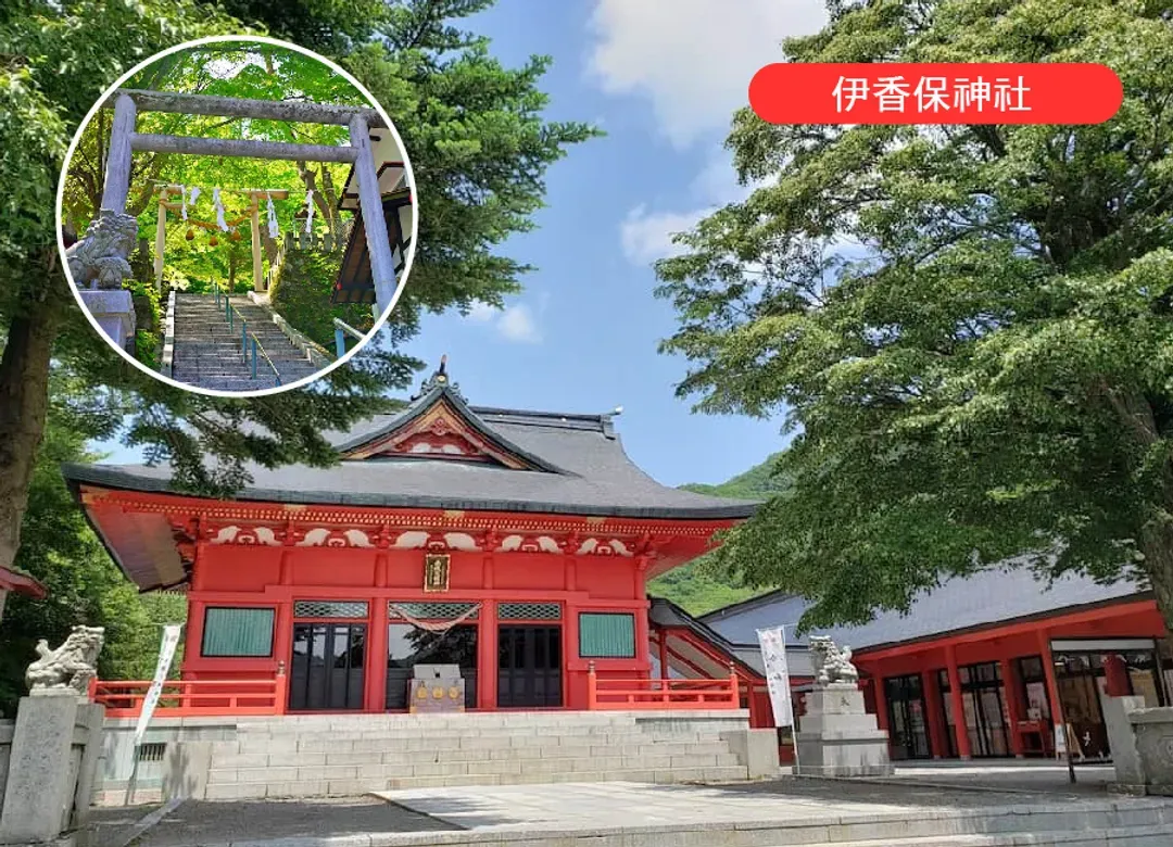 FUN暑假東京雙樂園7日.河口湖薰衣草祭.輕井澤.富士山.榛名山纜車.採水蜜桃.富士野生動物園.迪士尼(入住三溫泉)-8