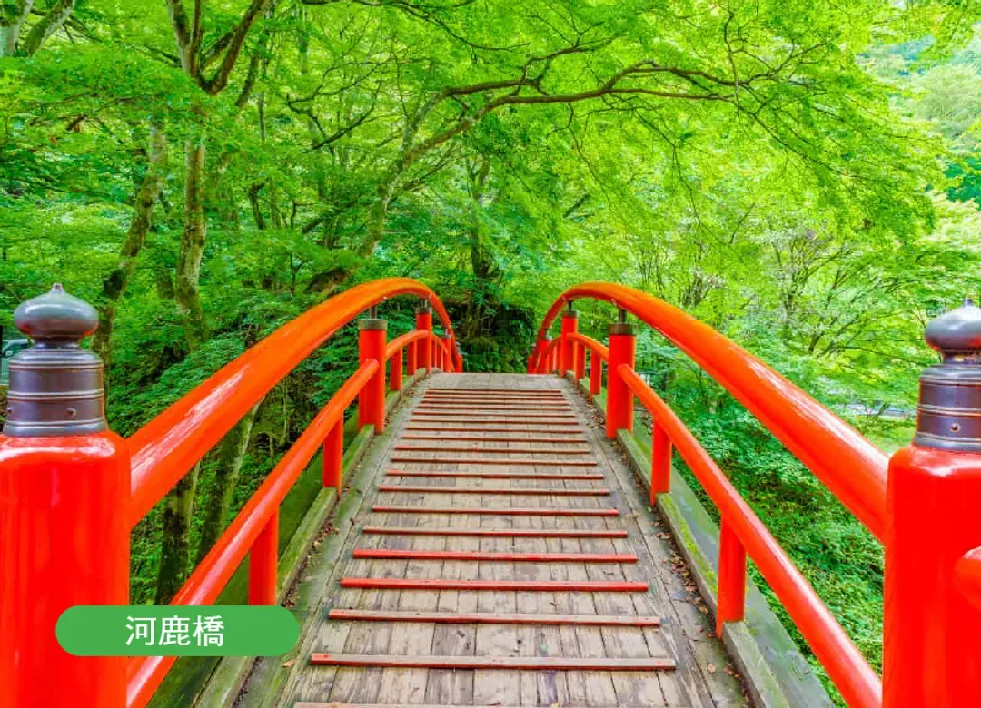 FUN暑假東京雙樂園7日.河口湖薰衣草祭.輕井澤.富士山.榛名山纜車.採水蜜桃.富士野生動物園.迪士尼(入住三溫泉)-10