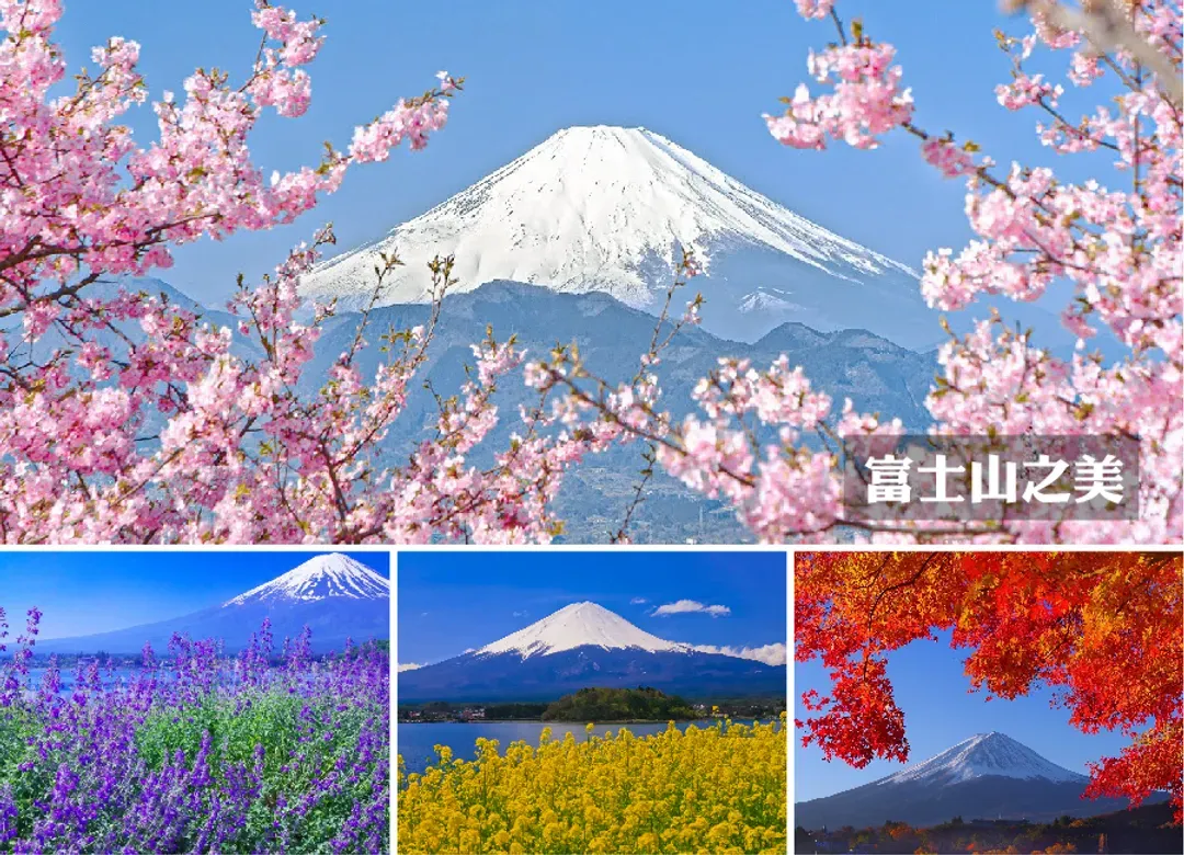 FUN暑假東京雙樂園7日.河口湖薰衣草祭.輕井澤.富士山.榛名山纜車.採水蜜桃.富士野生動物園.迪士尼(入住三溫泉)