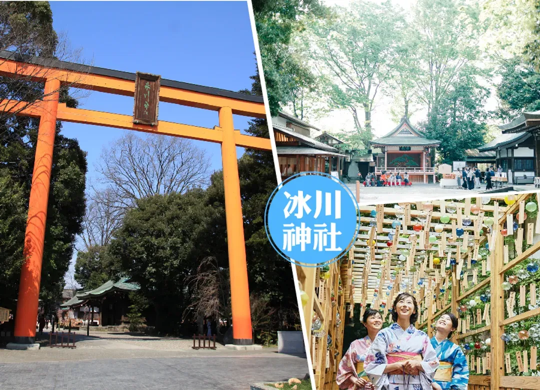 FUN暑假東京雙樂園7日.河口湖薰衣草祭.輕井澤.富士山.榛名山纜車.採水蜜桃.富士野生動物園.迪士尼(入住三溫泉)-12