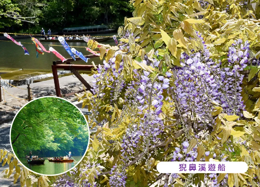 愛戀東北雙溫泉5日.銀河觀星纜車.秘境銀山溫泉.藏王御釜.小岩井農場.猊鼻溪遊船.嚴美溪谷.松島遊船.米澤牛燒肉-7