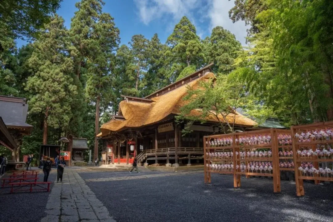 南陽熊野大社(祈福體驗&御神楽舞)