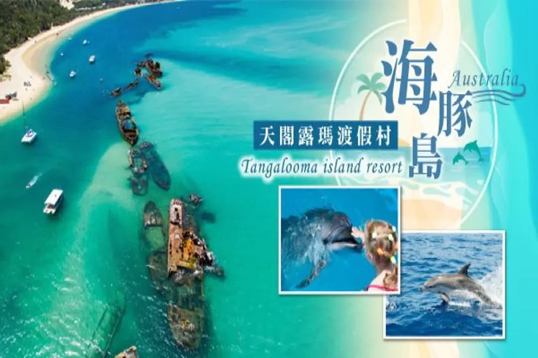 海豚島豐富遊(四輪傳動車、驚奇滑沙、餵海豚、賞鯨遊)
