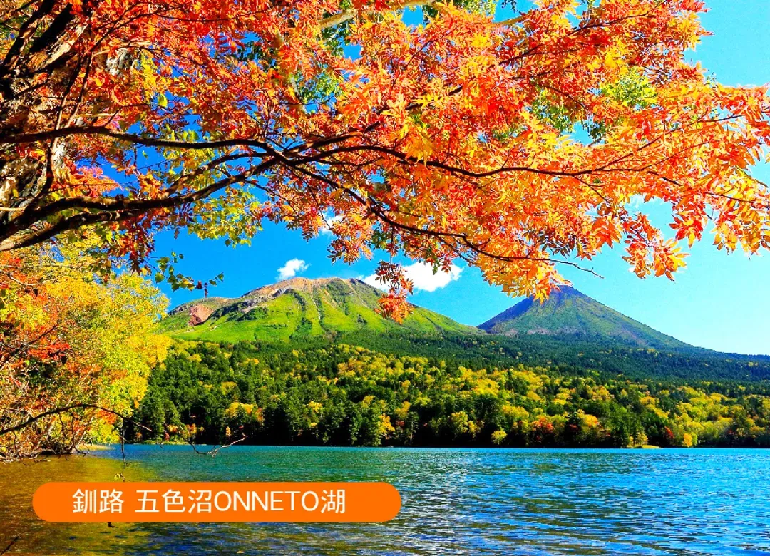 楓迷北海道全覽三溫泉6日.黑岳空中纜車.紅色珊瑚草.福原山莊.熱氣球.豐平峽.層雲峽紅葉燈光秀.三大螃蟹和牛吃到飽-7