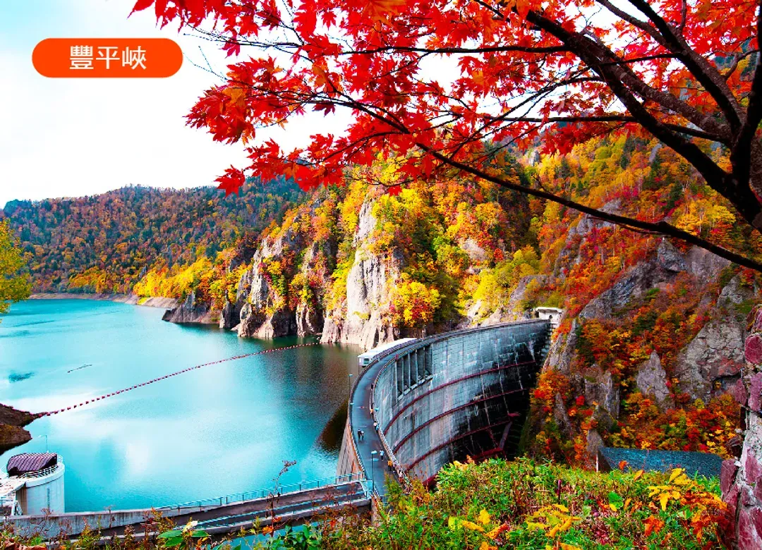 楓迷北海道全覽三溫泉6日.黑岳空中纜車.紅色珊瑚草.福原山莊.熱氣球.豐平峽.層雲峽紅葉燈光秀.三大螃蟹和牛吃到飽-9