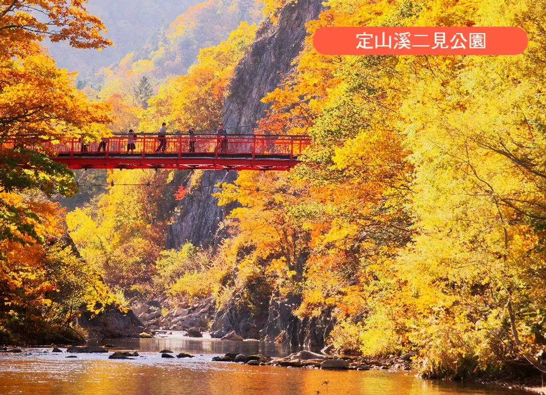 楓迷北海道全覽三溫泉6日.黑岳空中纜車.紅色珊瑚草.福原山莊.熱氣球.豐平峽.層雲峽紅葉燈光秀.三大螃蟹和牛吃到飽-8