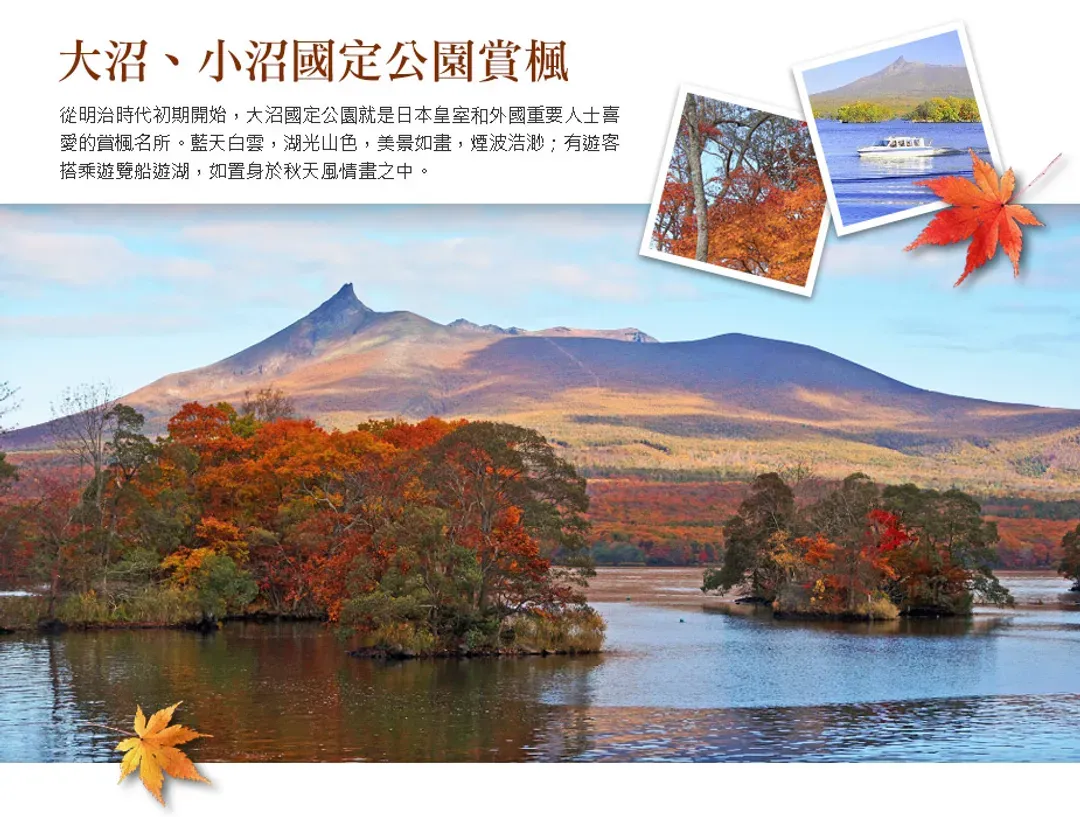 【黃金之秋北海道５日】函館百萬夜景、香雪園、大沼紅葉遊船、企鵝散步、銀杏大道、洞爺彩燈隧道、螃蟹溫泉[含稅簽]-5