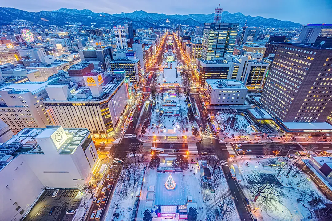 【雪舞紛飛北海道５日】保住三晚溫泉、函館夜景、企鵝散步、三合一戲雪趣、北國彩燈祭、螃蟹溫泉[含稅簽]