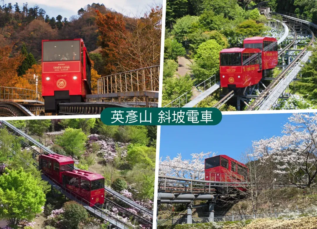 超值九州好玩５日.掏金體驗.萌熊電車.久住花卉.湯布院小鎮.英彥山斜坡車.阿蘇草千里.柳川遊船.博多運河城-7