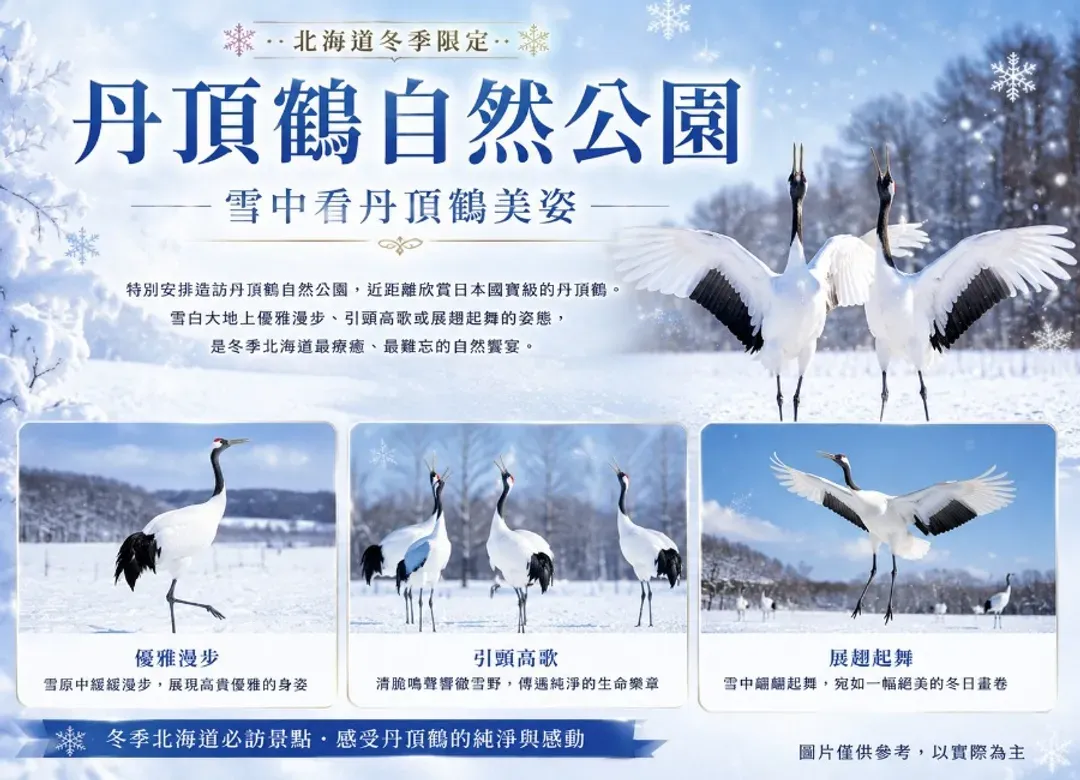 絕美北海道道東秘境6日.層雲峽.流冰天使.雪之妖精.丹頂鶴.北見狐狸村.阿寒愛奴.青池秘境.三溫泉-8