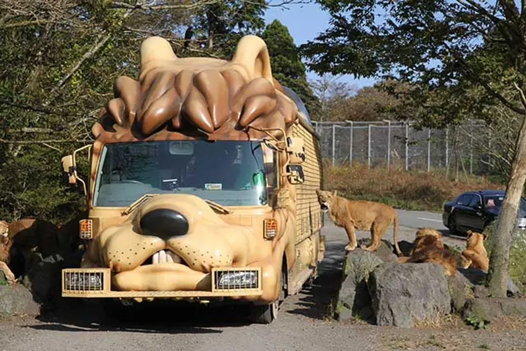 富士野生動物園(叢林巴士)