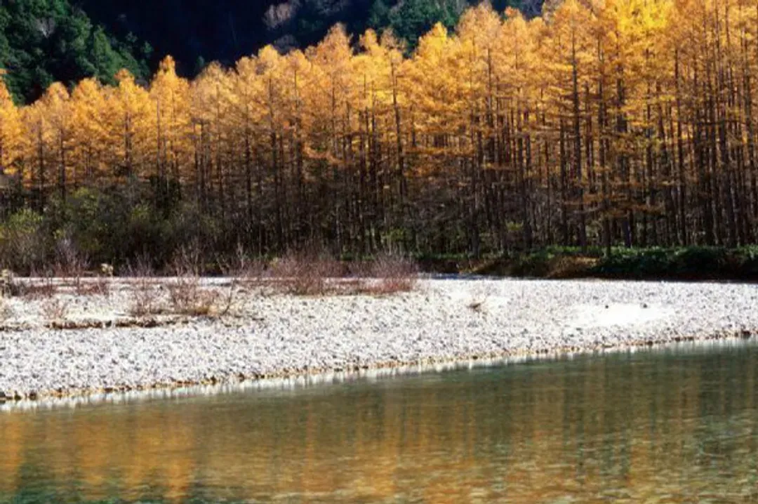 秋戀阿爾卑斯～立山黑部、合掌村兼六園、名古屋半日遊、上高地溫泉香五日-6