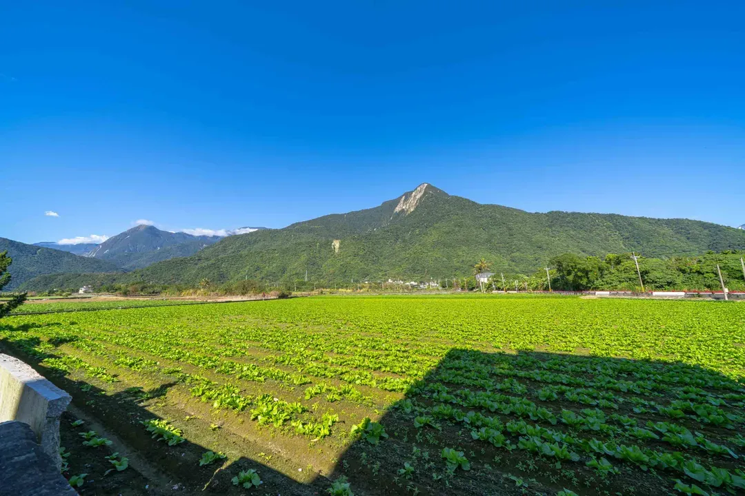 涵云民宿|太魯閣包棟villa-4