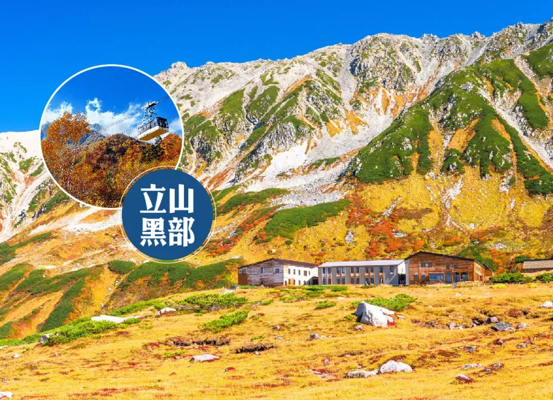 北陸秋楓立山黑部5日.惠那峽遊船.秘境上高地.童話合掌村.飛驒小京都.金澤兼六園.名花之里.三井OUTLET(虎航)