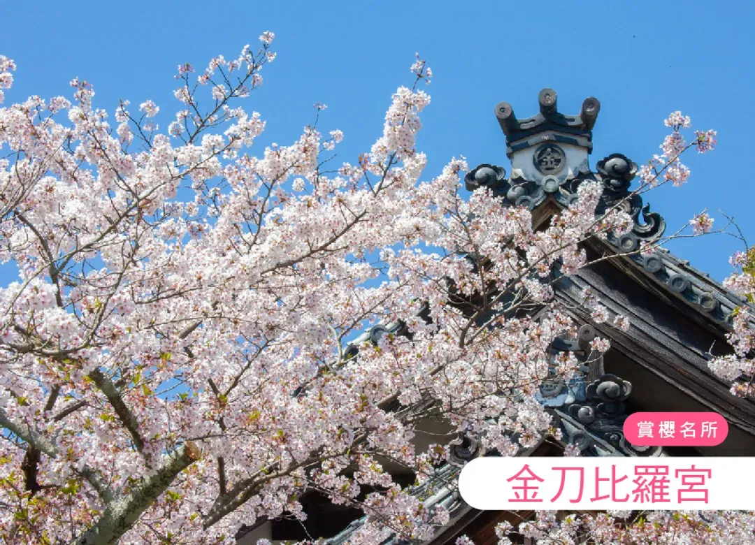 【8人成行】趣玩四國小豆島溫泉4日.天使步道.掏金列車.天空之城.烏龍麵DIY.天空鞦韆.金刀比羅宮.四季花海(華航)-6