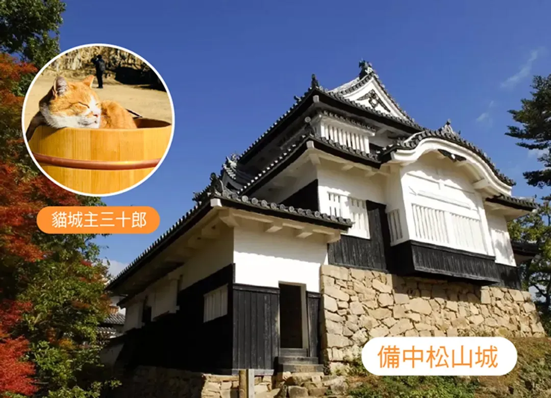 【8人成行】趣玩四國小豆島溫泉4日.天使步道.掏金列車.天空之城.烏龍麵DIY.天空鞦韆.金刀比羅宮.四季花海(華航)