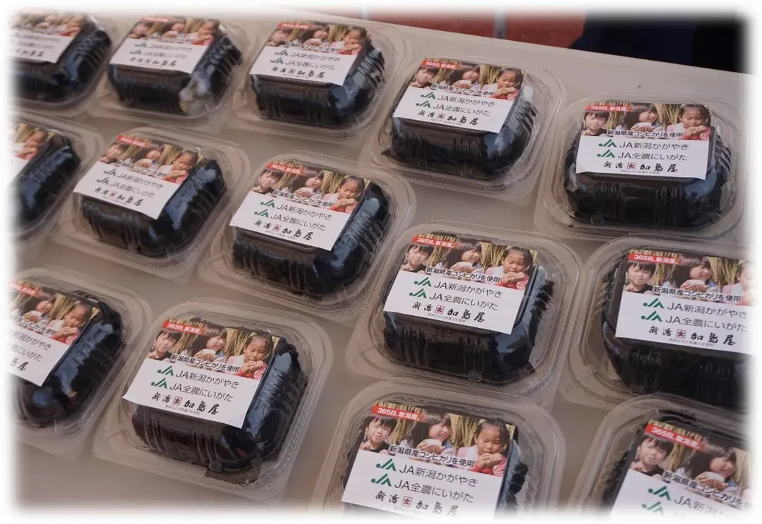 【2026新潟馬拉松】參賽權＋超值精選2晚住宿-15