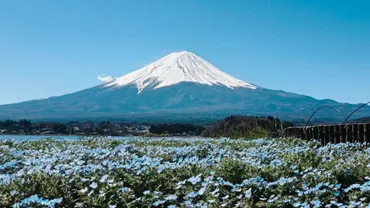 富士山登頂之旅｜保證成團！吉田口經典路線・山屋過夜・新宿來回