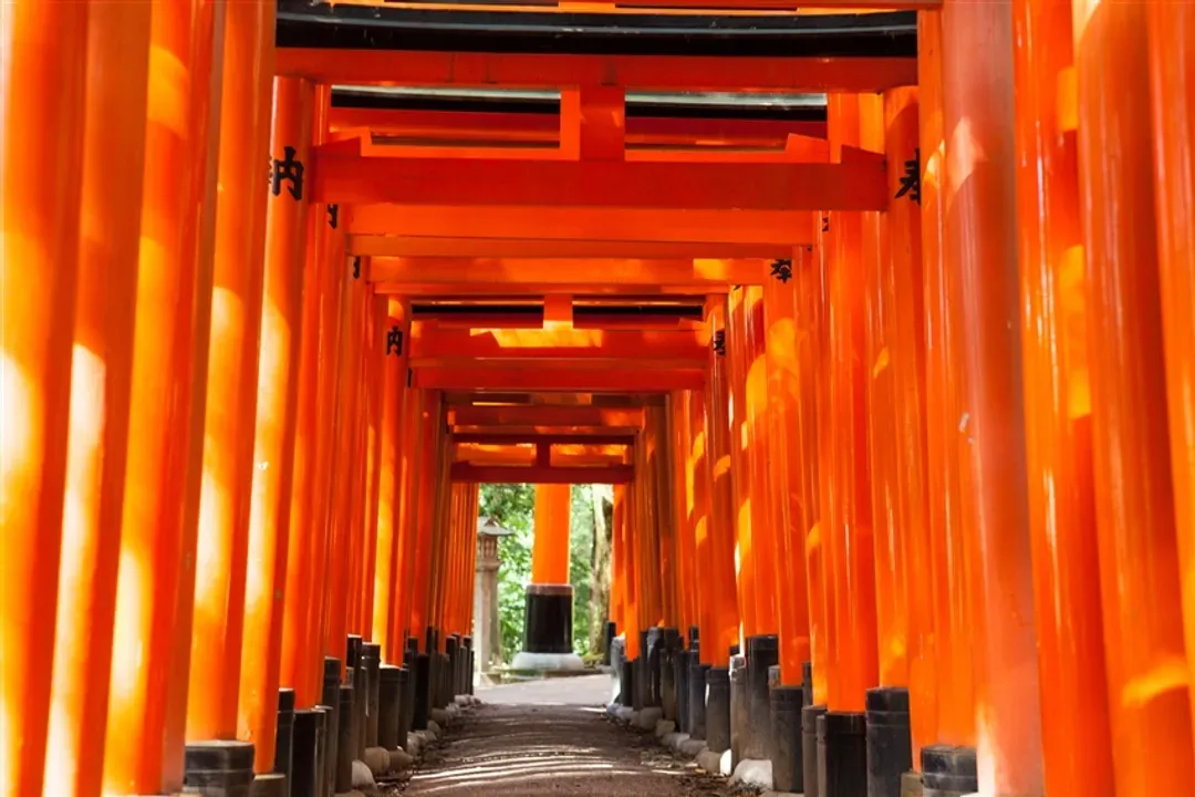 暑假關西|瑪利歐環球影城.神戶須磨海洋世界.宇治川遊船.阪神甲子園五日|台中出發-5