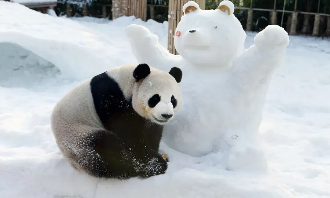韓國愛寶樂園