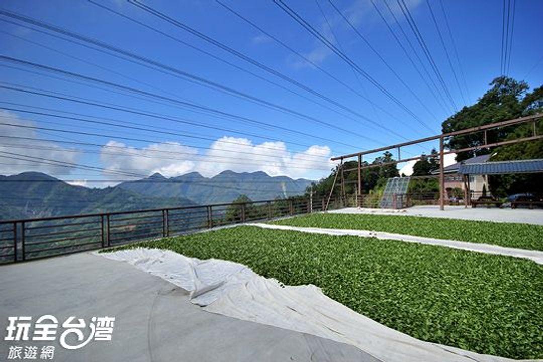 Xu home tea garden bed and breakfast