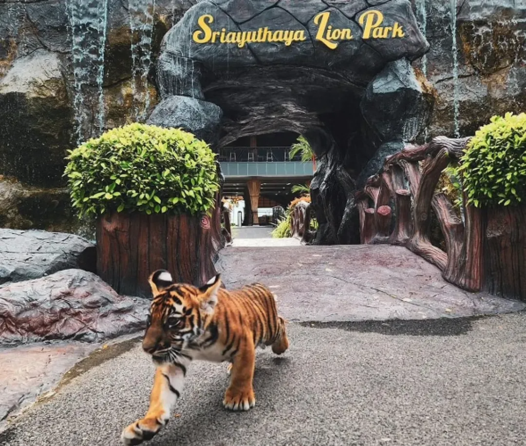 大城動物園