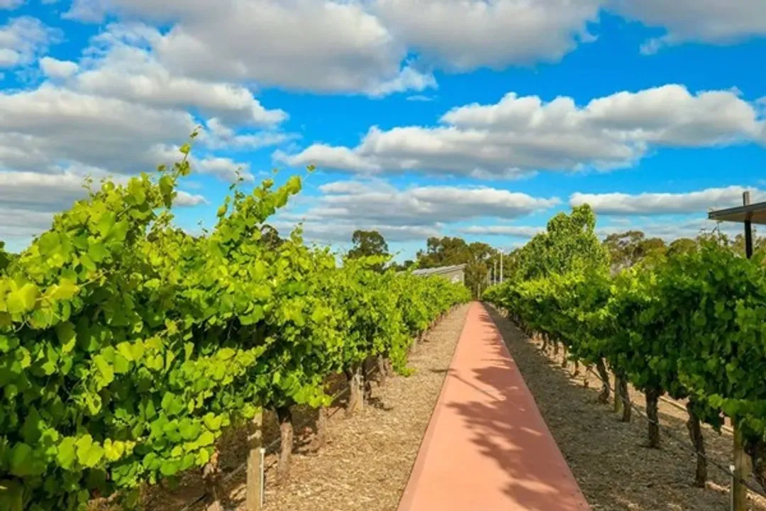 美奈酒莊品酒RD Wine Castle