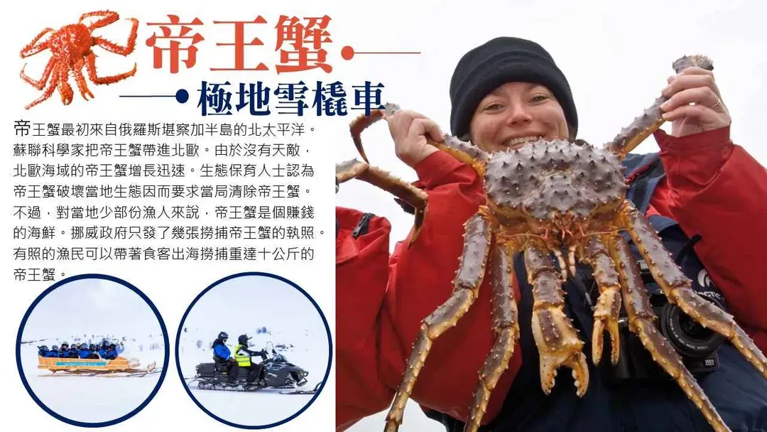 帝王蟹雪橇車
