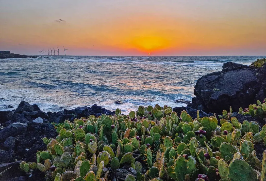 濟州偶來小路JEJU OLLE TRAIL
