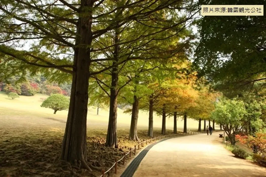 青南臺