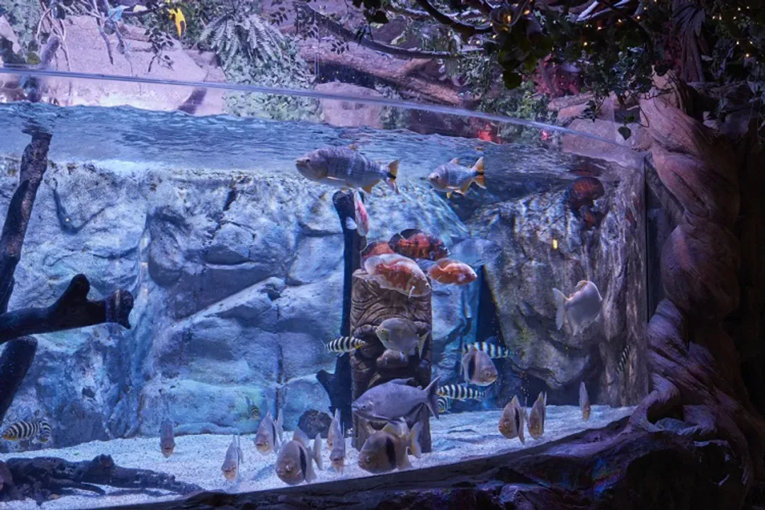 sea life水族館
