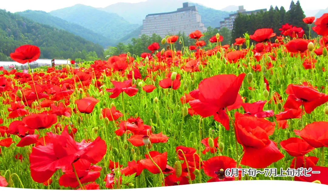 香草園
