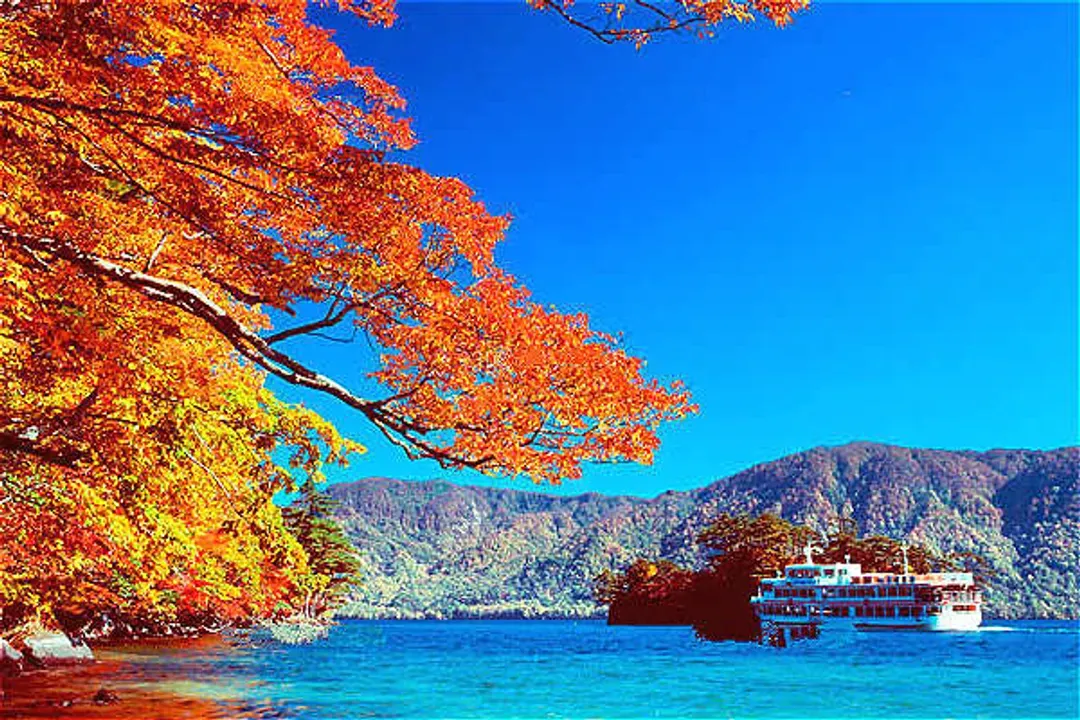 青森賞楓必訪