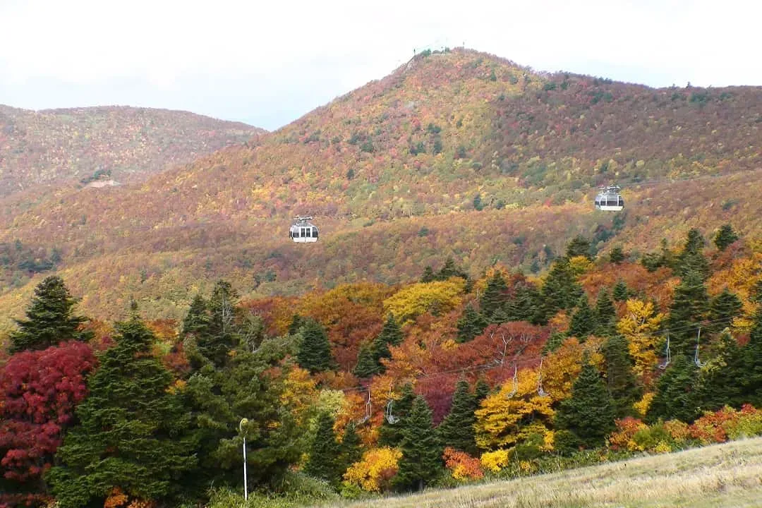 藏王山(觀光局提供)-藏王觀景纜車(賞楓)