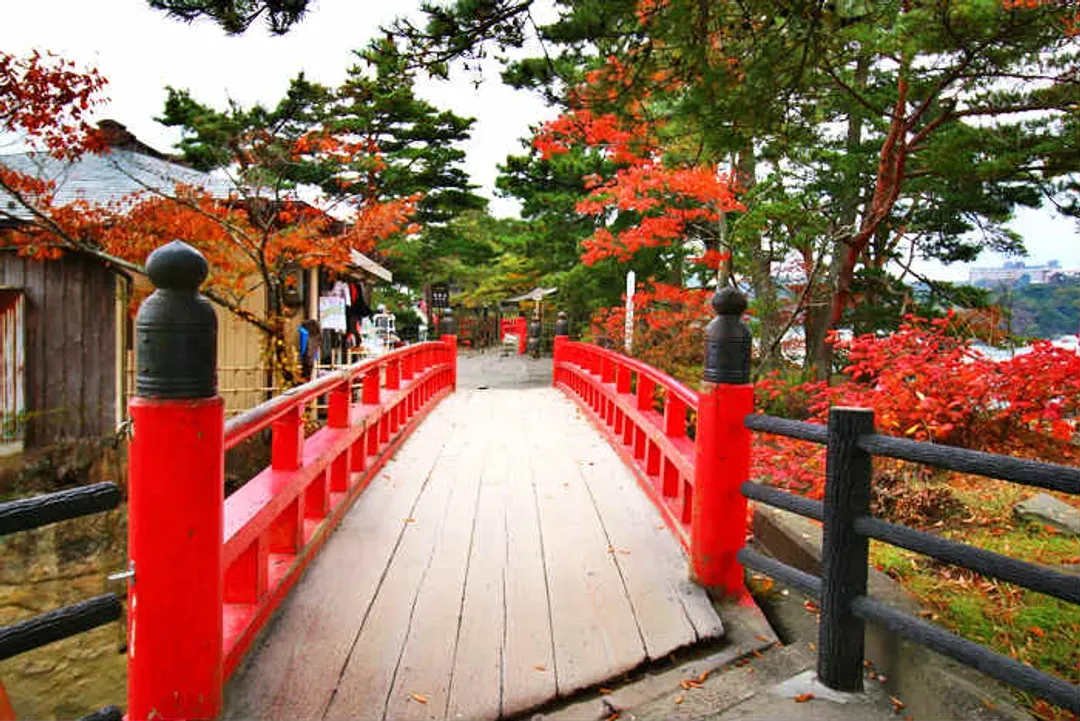 松島灣遊覽船(日本三景)