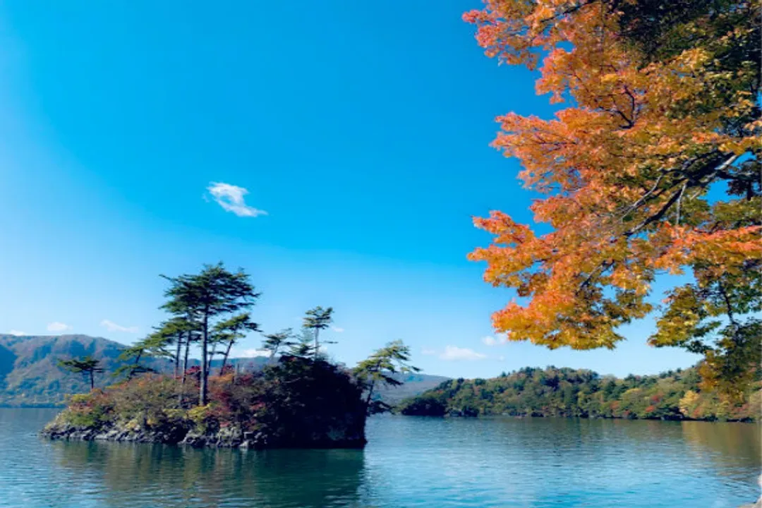 松島灣遊覽船(日本三景)