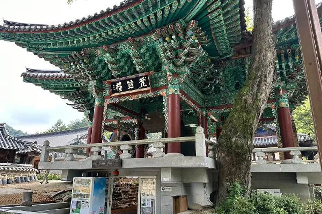 韓國清爽玩～樂天世界、天莊湖吊橋、彩虹噴泉大橋、聞慶風情漫遊五日-5