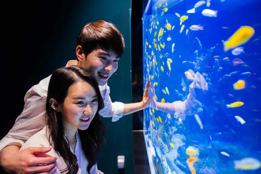 【釜邱FUN暑假、早鳥第二人減3000】EWORLD樂園、渠道滑車、海岸列車、美人魚秀五日-10