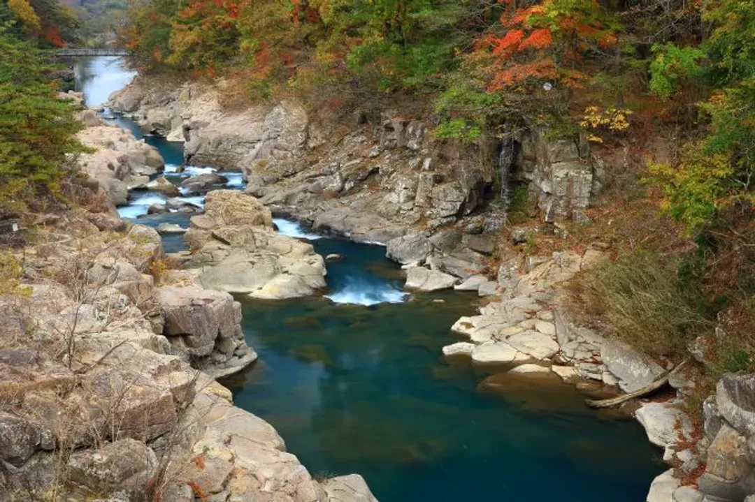 初心遊東北EMOTION餐廳列車│星野青森屋．奧入瀨溪流．十和田湖．世界遺產中尊寺．日本三景松島．溫泉5日-8