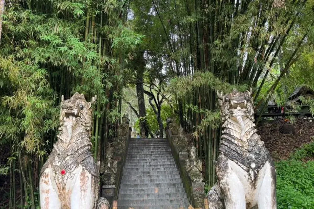 森林禪院(Wat Pha Lat)