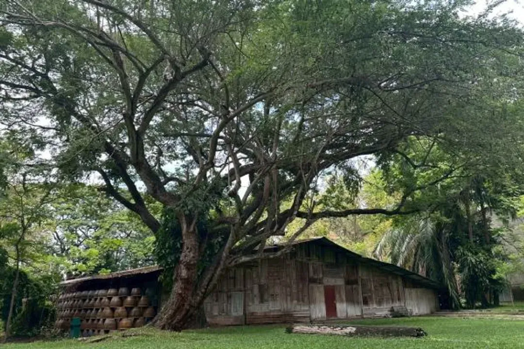 世界文化遺產菸廠園區(KAO MAI LANNA ESTATE)