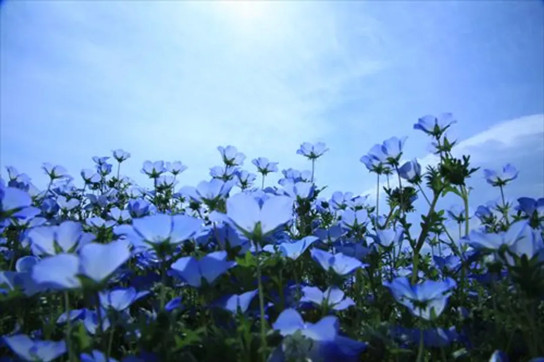 undefined-1