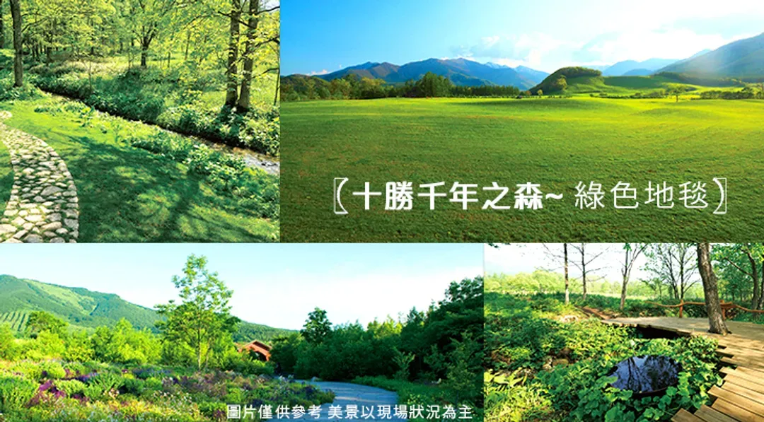 特選北海道旅遊|夏季薰衣六大體驗富.富良野花田.愛奴火祭.銀河流星瀑布.旭山動物園.小樽.螃蟹溫泉六日|保住萬怡-6