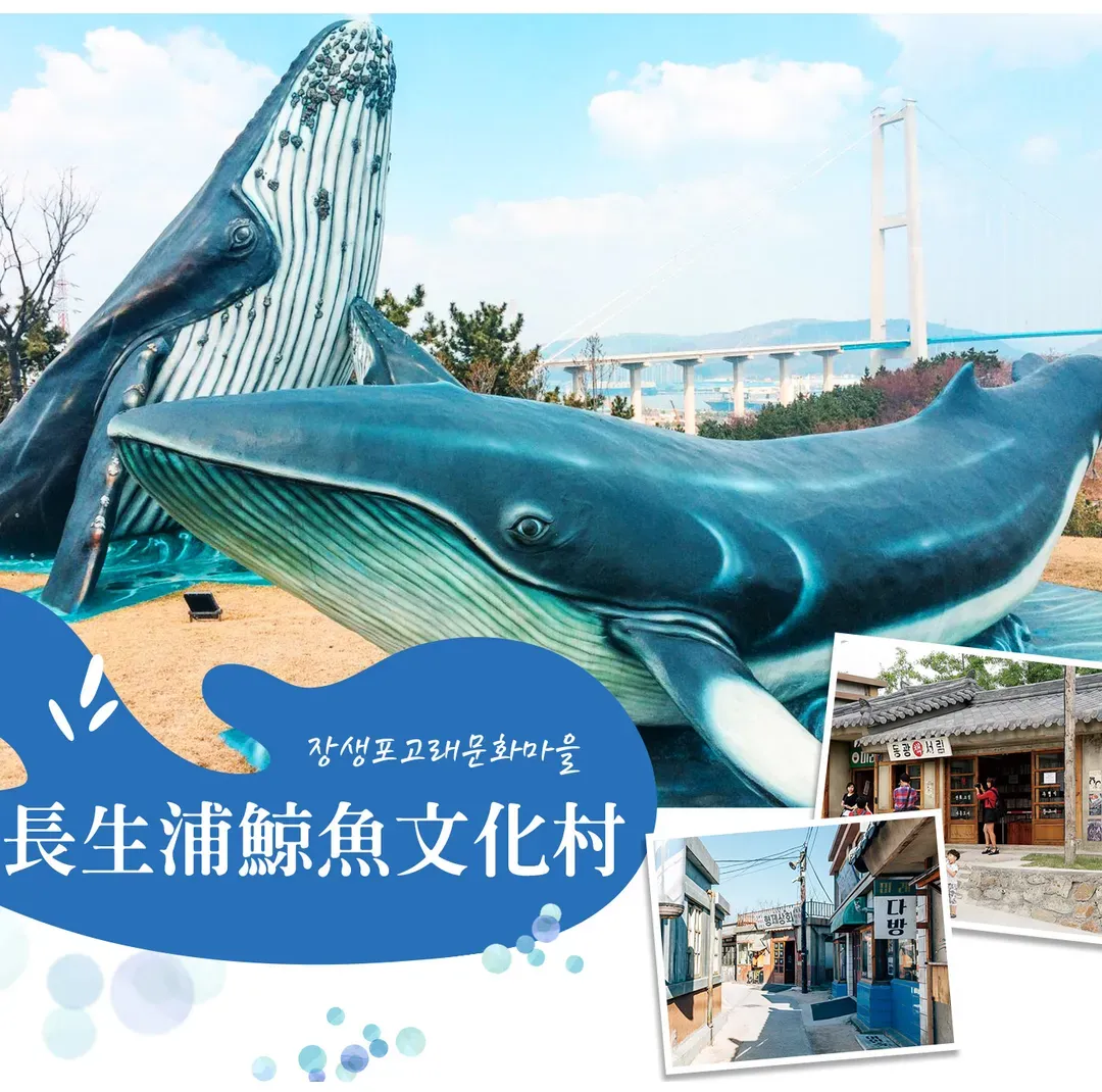 【限GO釜山精華４日】彩妝一站、LUGE滑車、伽倻塗鴉秀、天空膠囊列車、釜山必吃美食[含稅]-9