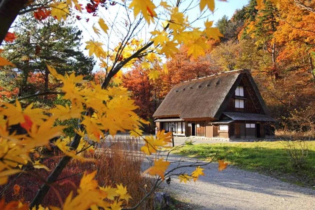 白川鄉合掌村