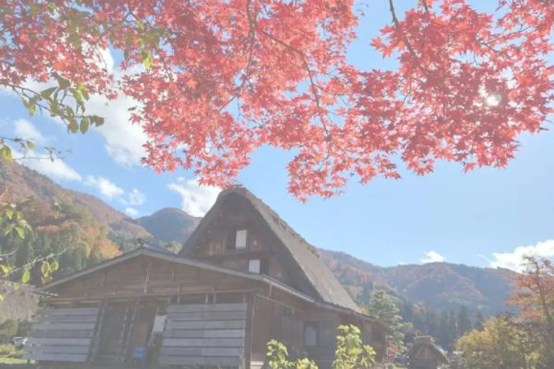 楓映閃亮北陸～立山黑部、飛驒紅葉點燈、合掌村兼六園、高山五星溫泉五日-7